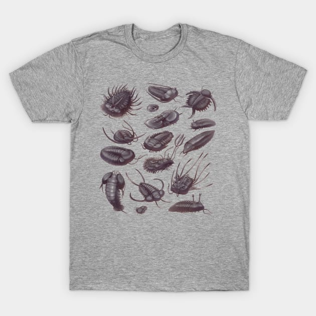 Trilobite Fossils T-Shirt by Wagglezags